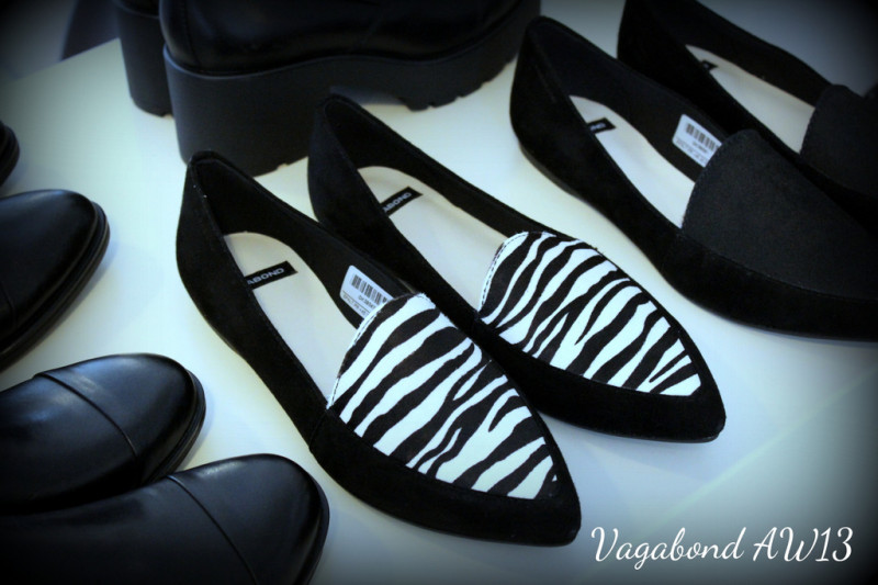 Vagabond Leroc zebra